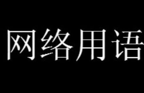 什么档次跟我用的一样什么梗