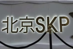 skp是什么意思的缩写