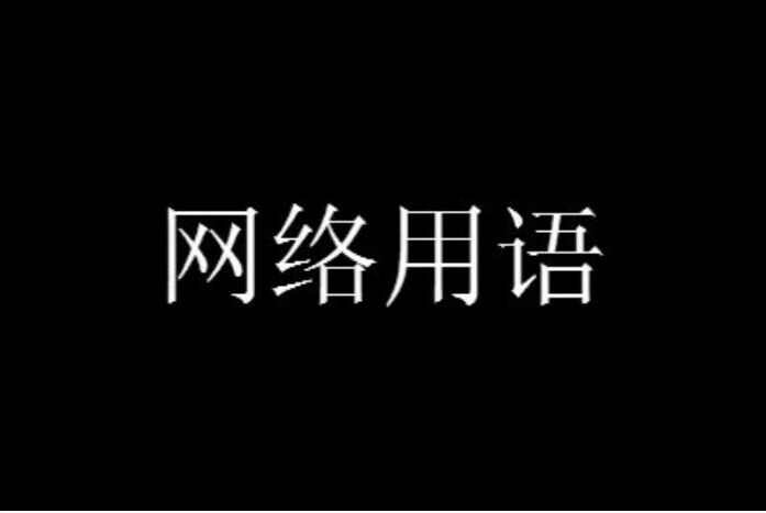 pc网络用语是什么意思