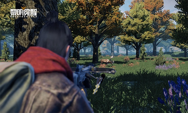 黎明觉醒明信片怎么收集