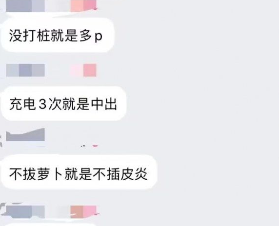 充电打桩拔萝卜开锁啥意思