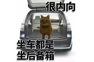 很内向是什么梗？很内向坐车都是坐后备箱啥意思