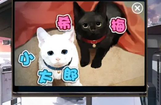 失物终点站2第六章攻略   第6章图文解谜流程一览[多图]图片12