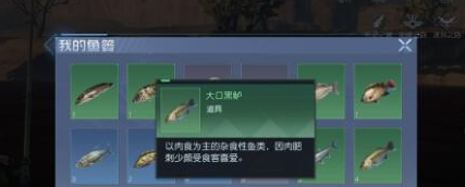 黎明觉醒黑鲈在哪