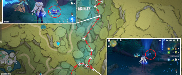 原神树王圣体菇采集路线