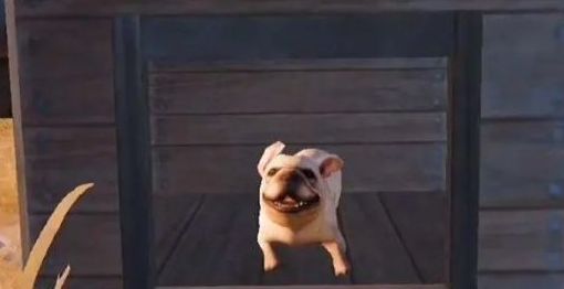 黎明觉醒宠物怎么获得