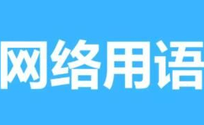 沙发女孩网络用语是什么意思