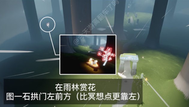 光遇4.4任务怎么做 2023年4月4日每日任务完成攻略[多图]图片4