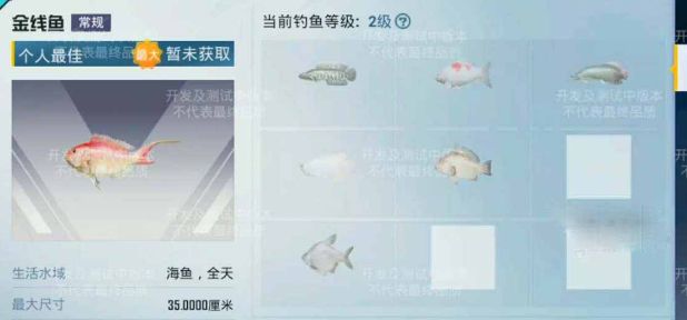 吃鸡绿洲世界垂钓等级快速提升攻略