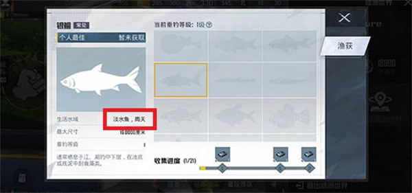 和平精英绿洲世界什么时候会下雨