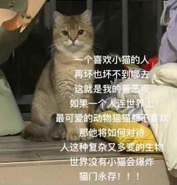 这就是我的善恶观是什么梗