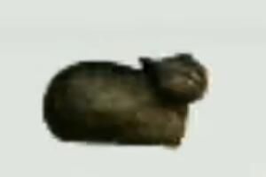 51121是什么意思