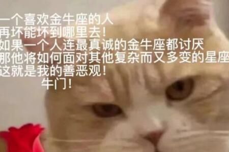 再坏也坏不到哪去这就是我的善恶观什么梗啊