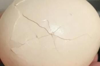 解锁敲鸡蛋新技能梗是什么出处