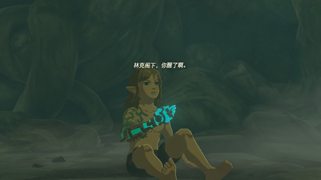 王国之泪攻略大全   塞尔达王国之泪全剧情速通关图文流程一览[多图]图片18