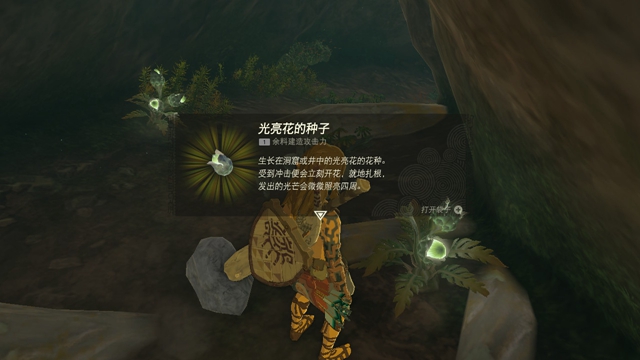 王国之泪攻略大全   塞尔达王国之泪全剧情速通关图文流程一览[多图]图片92