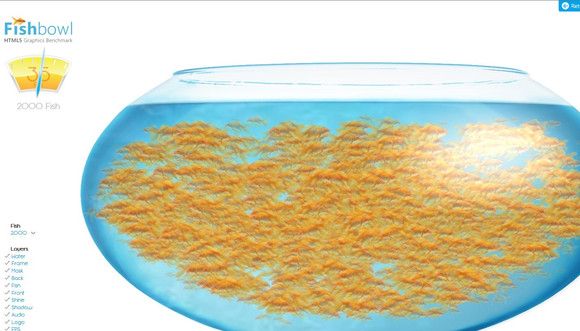 fishbowl金鱼测试网站从哪里进入