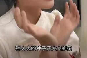 挖呀挖呀挖文案