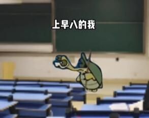 乌龟大师仙逝表情包动态图大全