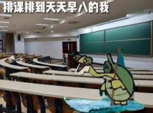 乌龟大师仙逝表情包动态图大全