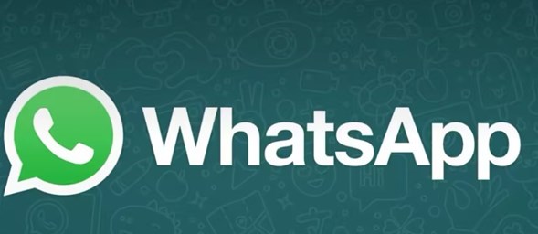 whatsapp一个勾和两个勾的区别 发送状态单钩双钩含义介绍[多图]图片1
