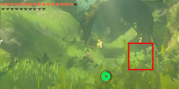 王国之泪尼恩吉希神庙攻略  尼恩吉希神庙图文解谜流程一览[多图]图片5