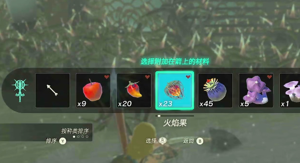 塞尔达卡尔加岭鸟望台怎么开  卡尔加岭鸟望台解锁攻略[多图]图片2