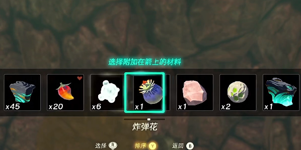 王国之泪鸟望台门打不开怎么办  鸟望台门坏了开启方法[多图]图片7