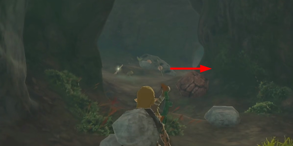 王国之泪鸟望台门打不开怎么办  鸟望台门坏了开启方法[多图]图片8