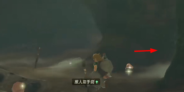 王国之泪鸟望台门打不开怎么办  鸟望台门坏了开启方法[多图]图片9