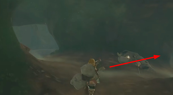 撒哈斯拉平原鸟望台怎么解锁  塞尔达撒哈斯拉平原鸟望台开启攻略[多图]图片7