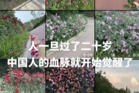 20岁中华血脉开始觉醒是什么意思