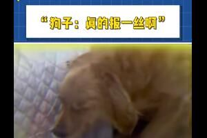 报一丝是什么意思网络用语