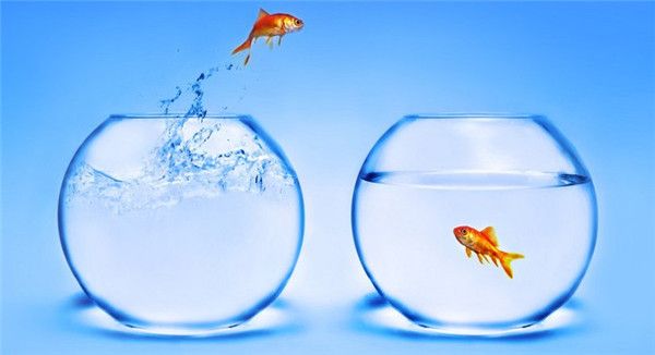 fishbowl测试打不开怎么回事  苹果/安卓fishbowl鱼缸测试网址打不开解决办法[多图]图片1