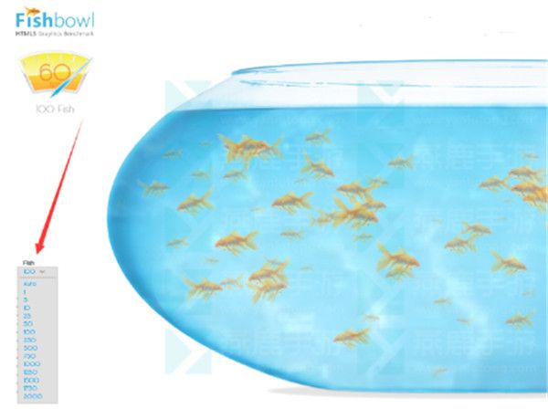 fishbowl测试打不开怎么回事  苹果/安卓fishbowl鱼缸测试网址打不开解决办法[多图]图片2