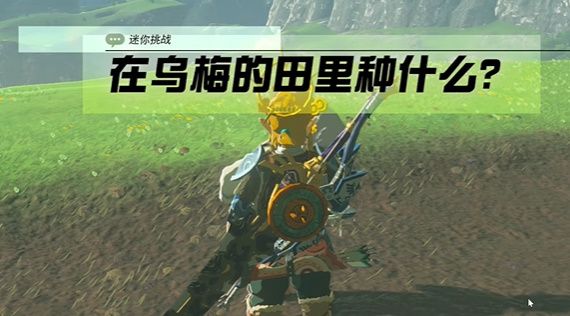 塞尔达在乌梅的田里种什么树/植物