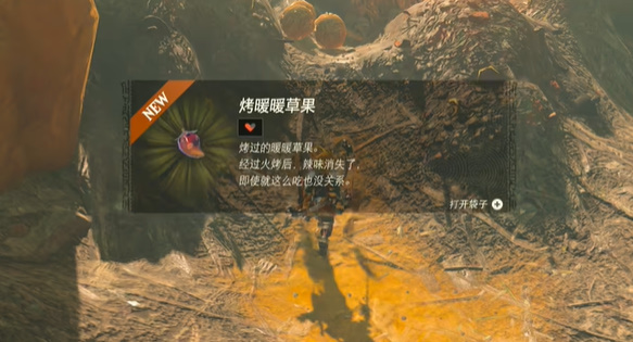 王国之泪风滚草大扫除攻略  塞尔达风滚草大扫除挑战怎么做[多图]图片7