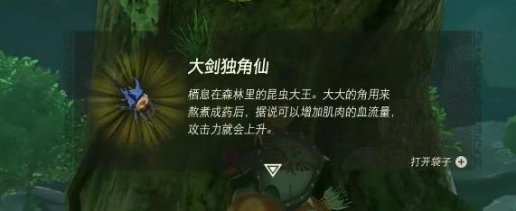 王国之泪大剑独角仙在哪买