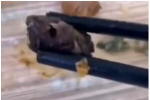 指鼠为鸭是什么梗