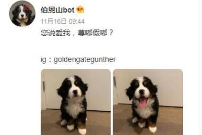 尊嘟假嘟是什么梗