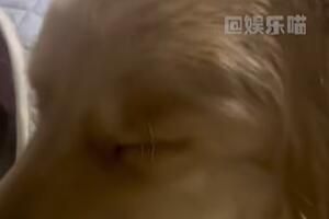 鬼迷日眼是什么梗