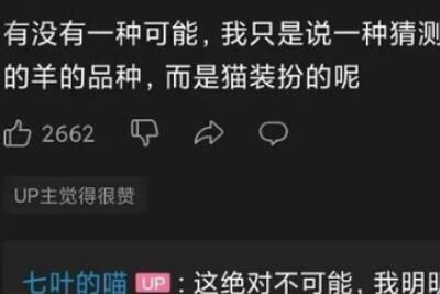 有没有一种可能是什么梗