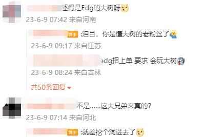 edg大树是什么梗