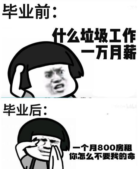 租给大学生是什么意思