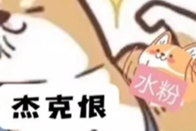 Jackeyhate是什么意思