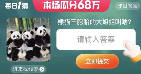 熊猫三胞胎的大姐姐叫啥  淘宝每日一猜6.20熊猫三胞胎答案[多图]图片1