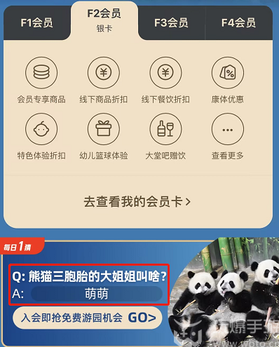 熊猫三胞胎的大姐姐叫啥  淘宝每日一猜6.20熊猫三胞胎答案[多图]图片4