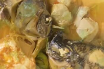 网络用语抖音三大食神是什么梗