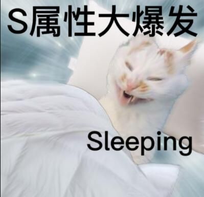 s属性大爆发sleeping表情包有哪些