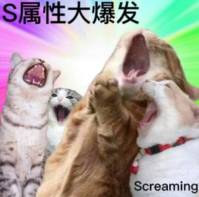 s属性大爆发sleeping表情包大全